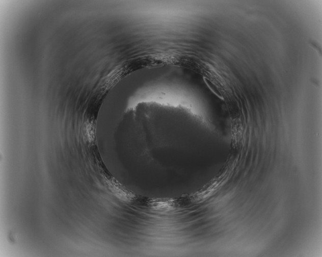 X0000097490285200802291440