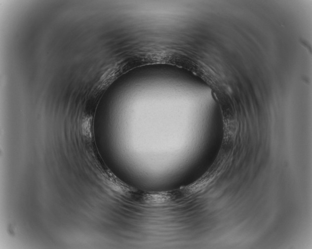 X0000097490286200802291440