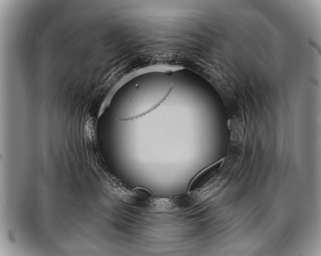 X0000097490287200802291440