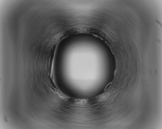 X0000097490288200802291440