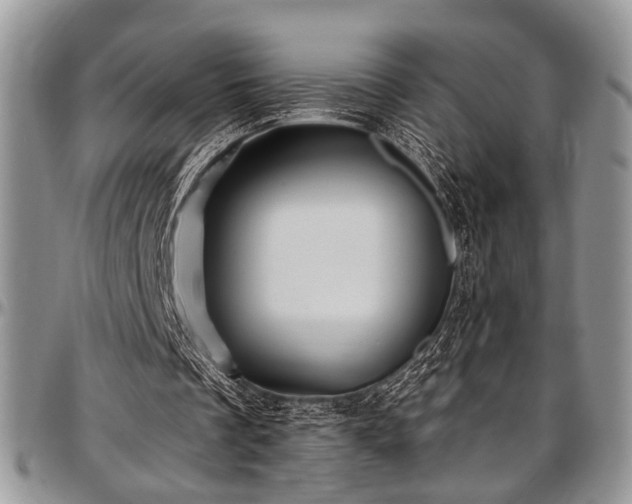 X0000097490289200802291439