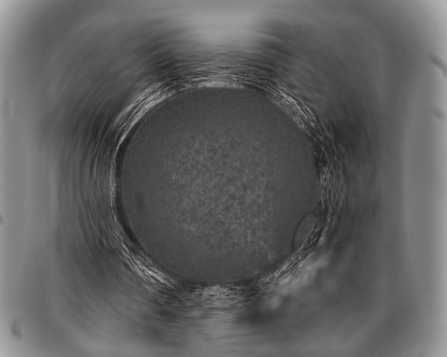 X0000097490290200802291439