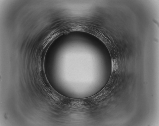 X0000097490291200802291439