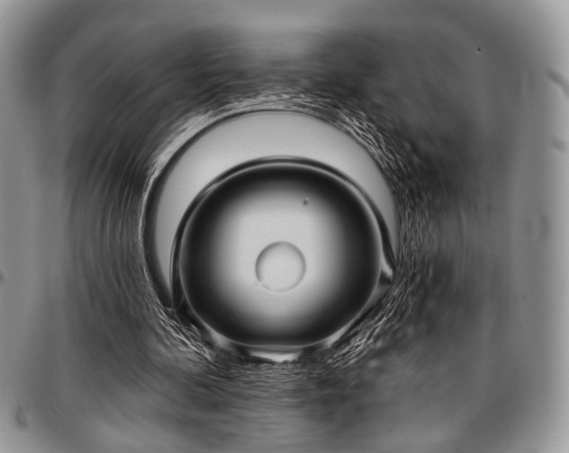 X0000097490292200802291439