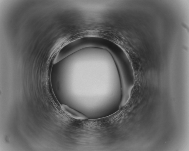 X0000097490293200802291439