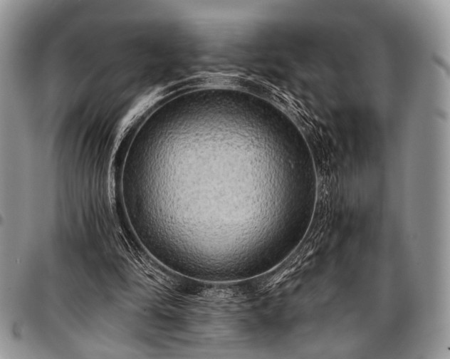 X0000097490294200802291439