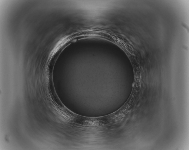 X0000097490295200802291439