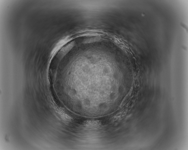 X0000097490296200802291439