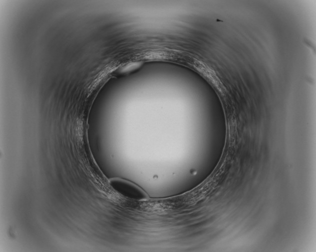 X0000097490297200802291439