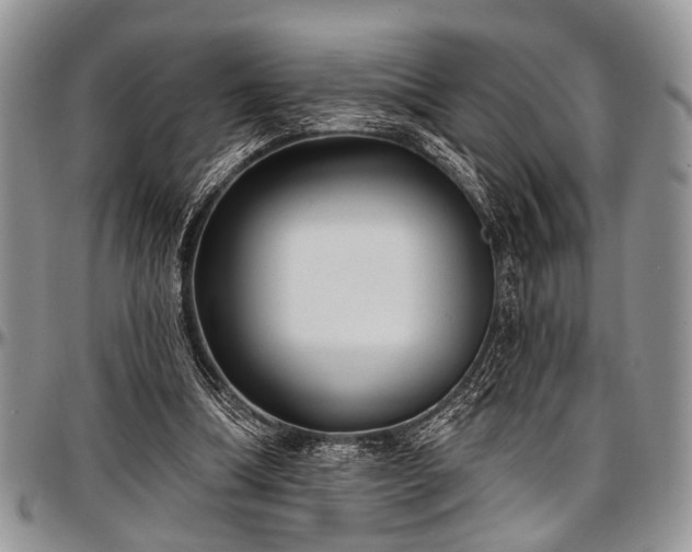 X0000097490298200802291439