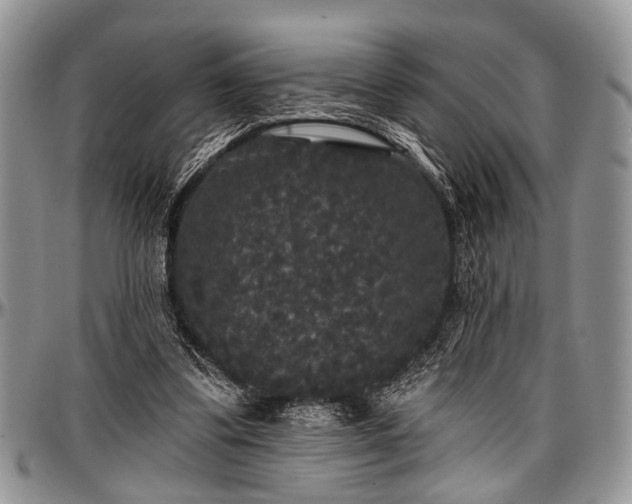 X0000097490299200802291439