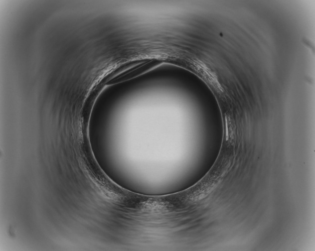 X0000097490300200802291439