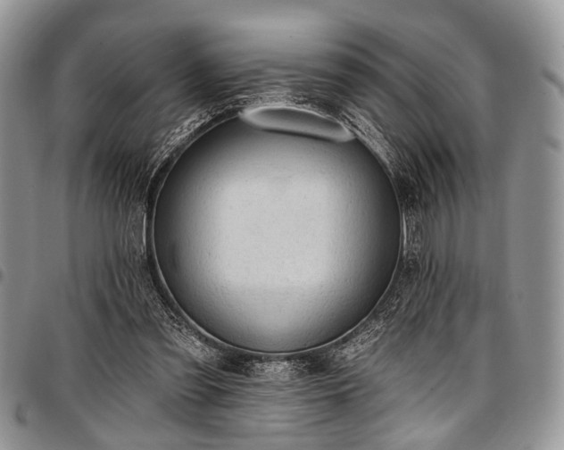 X0000097490301200802291439