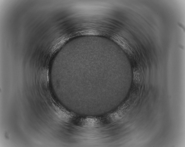 X0000097490302200802291439