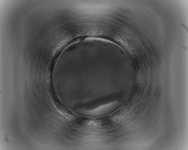 X0000097490303200802291439