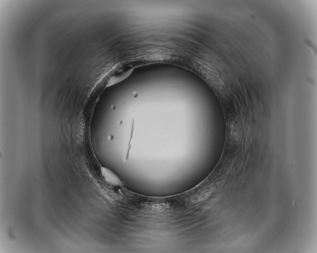 X0000097490304200802291439