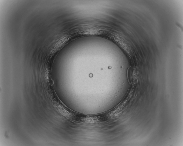 X0000097490305200802291439