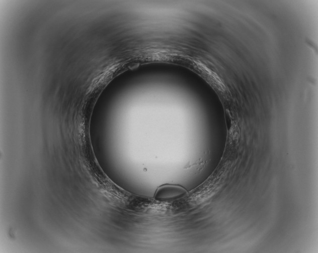 X0000097490306200802291439