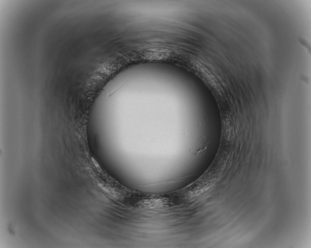 X0000097490307200802291439