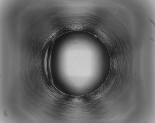 X0000097490308200802291439