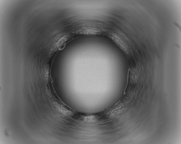 X0000097490309200802291439