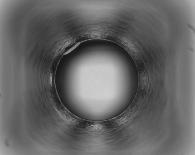 X0000097490310200802291439