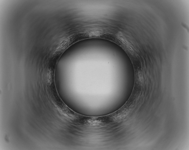 X0000097490311200802291439