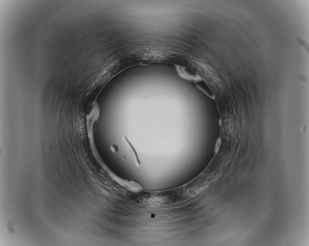 X0000097490312200802291439