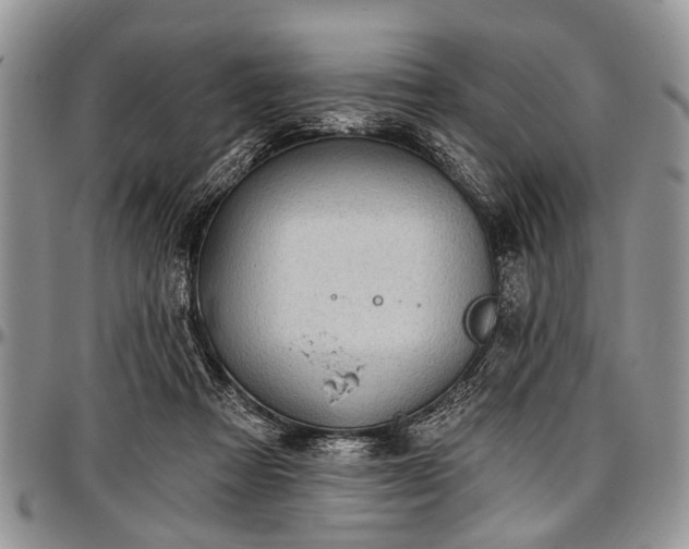 X0000097490313200802291439