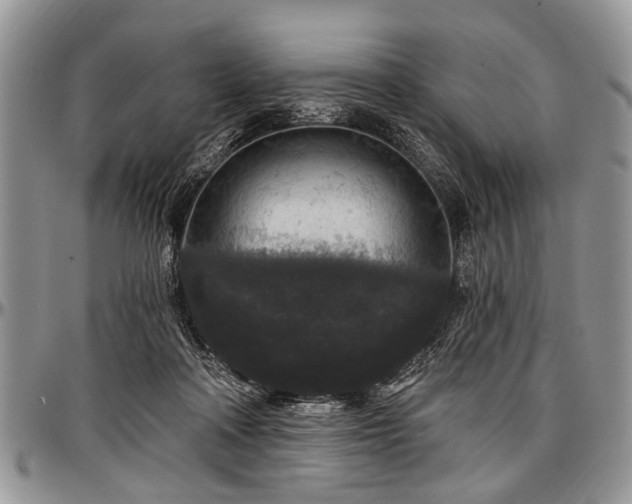 X0000097490314200802291439