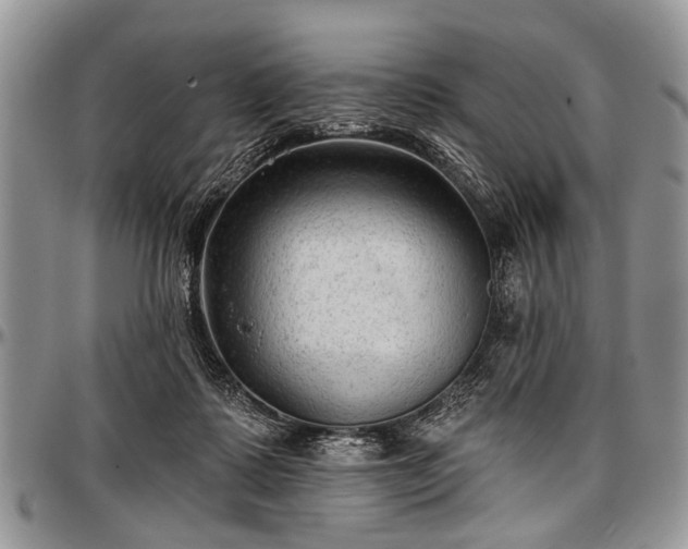 X0000097490315200802291439