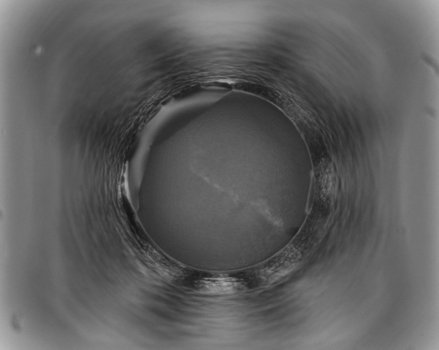 X0000097490316200802291439