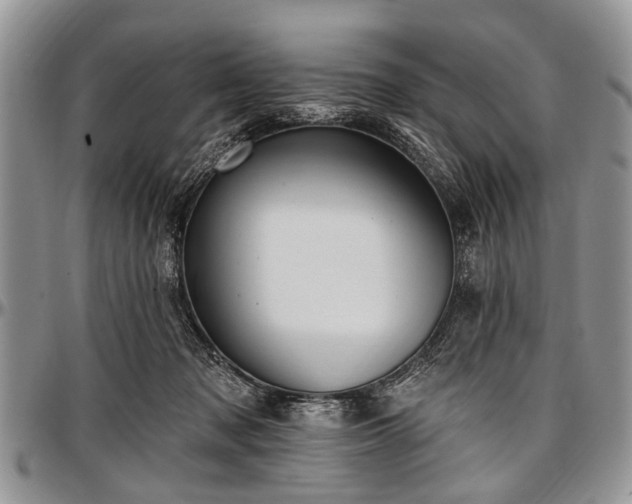 X0000097490317200802291439