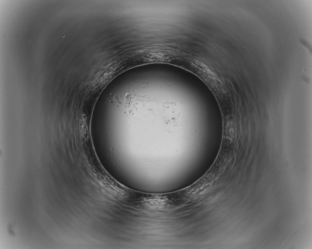 X0000097490318200802291439