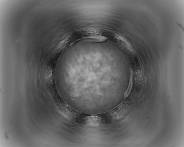 X0000097490320200802291439