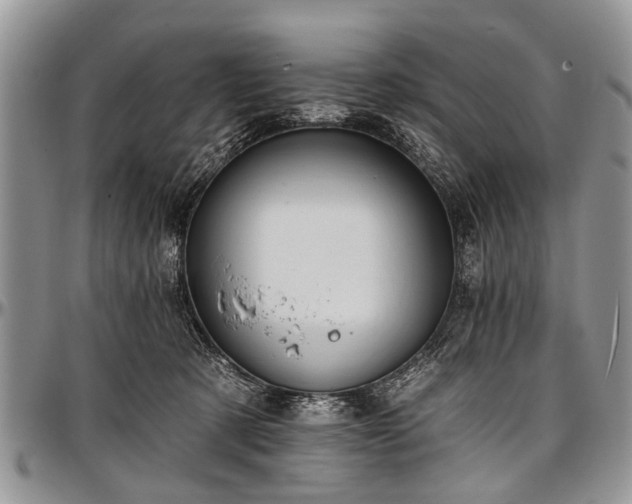 X0000097490321200802291439