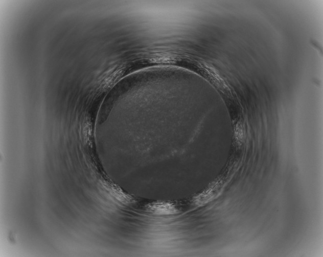 X0000097490322200802291439