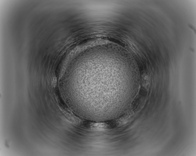 X0000097490324200802291439