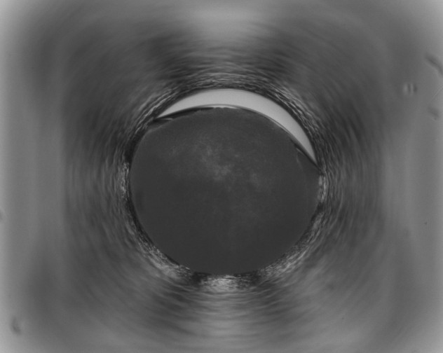 X0000097490325200802291439