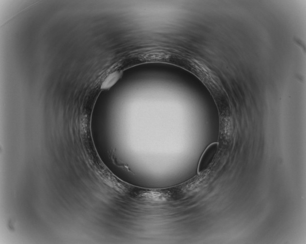 X0000097490326200802291439