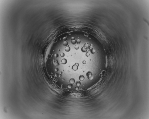 X0000097490328200802291439