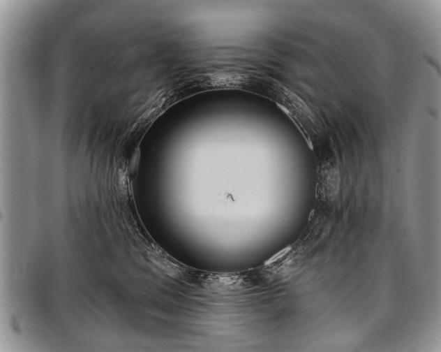 X0000097490329200802291439