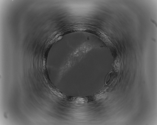 X0000097490330200802291439