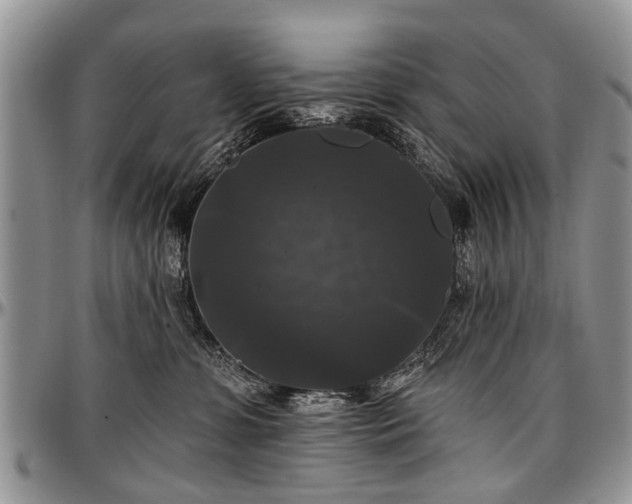 X0000097490331200802291439