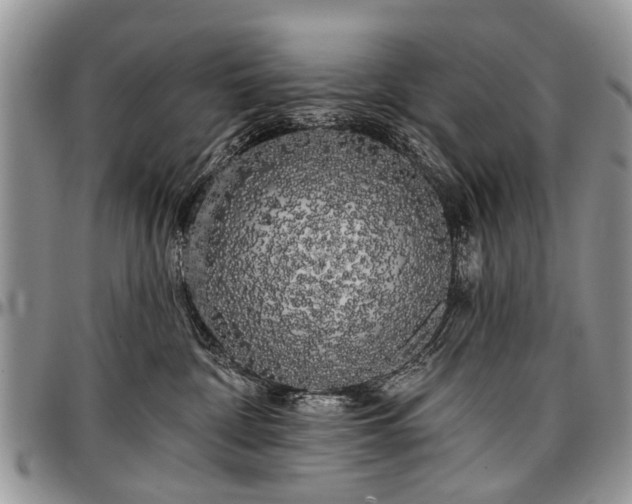 X0000097490332200802291439