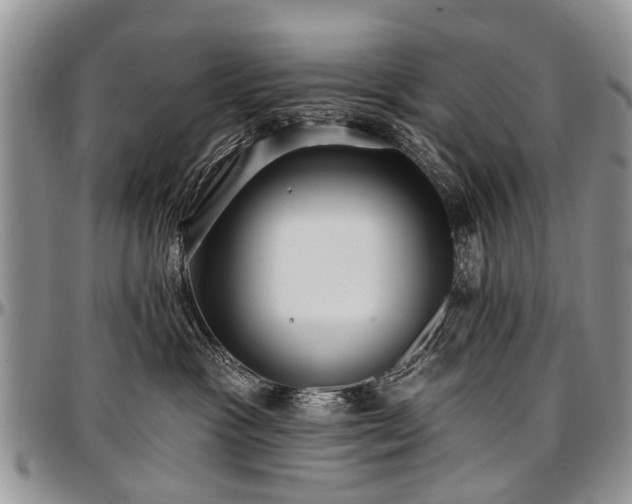 X0000097490333200802291439