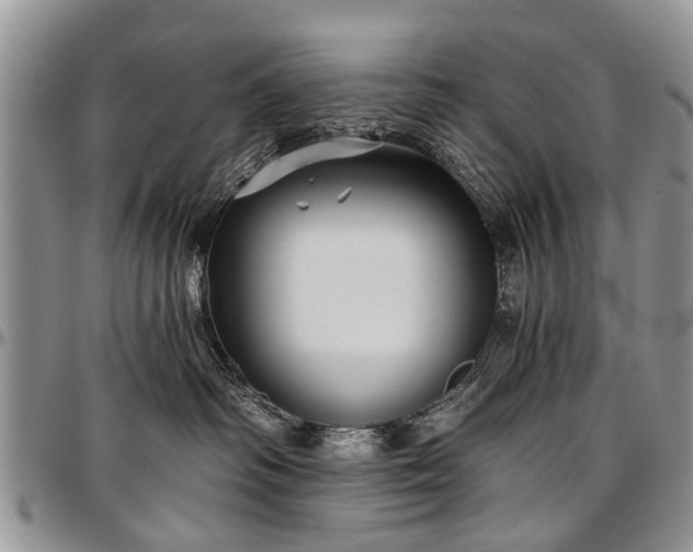 X0000097490334200802291439