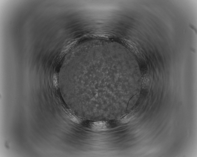 X0000097490335200802291439