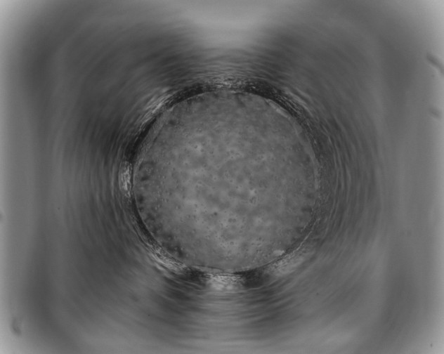 X0000097490336200802291439