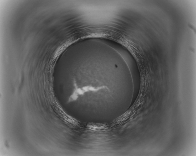 X0000097490337200802291438